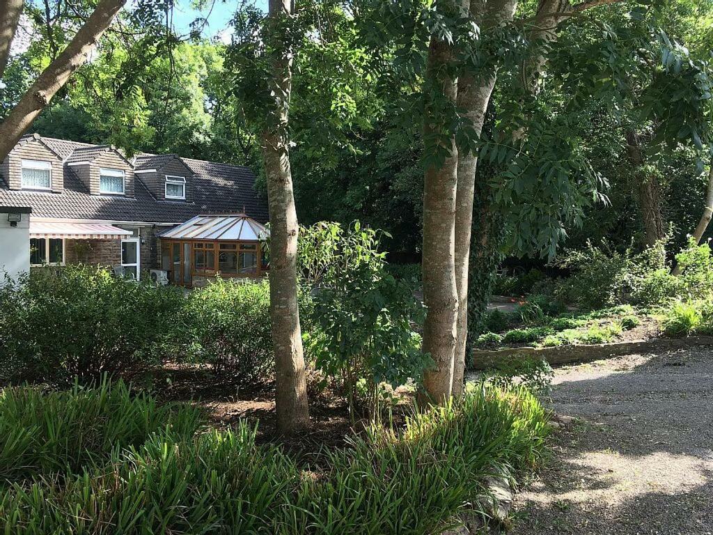 Bedrock Lodge Winterbourne Exterior photo